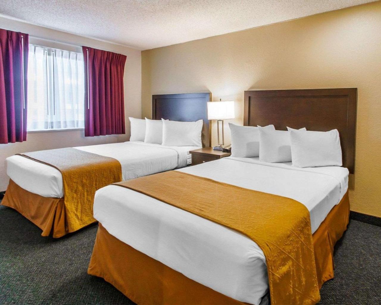 Quality Inn & Suites Springfield Dış mekan fotoğraf